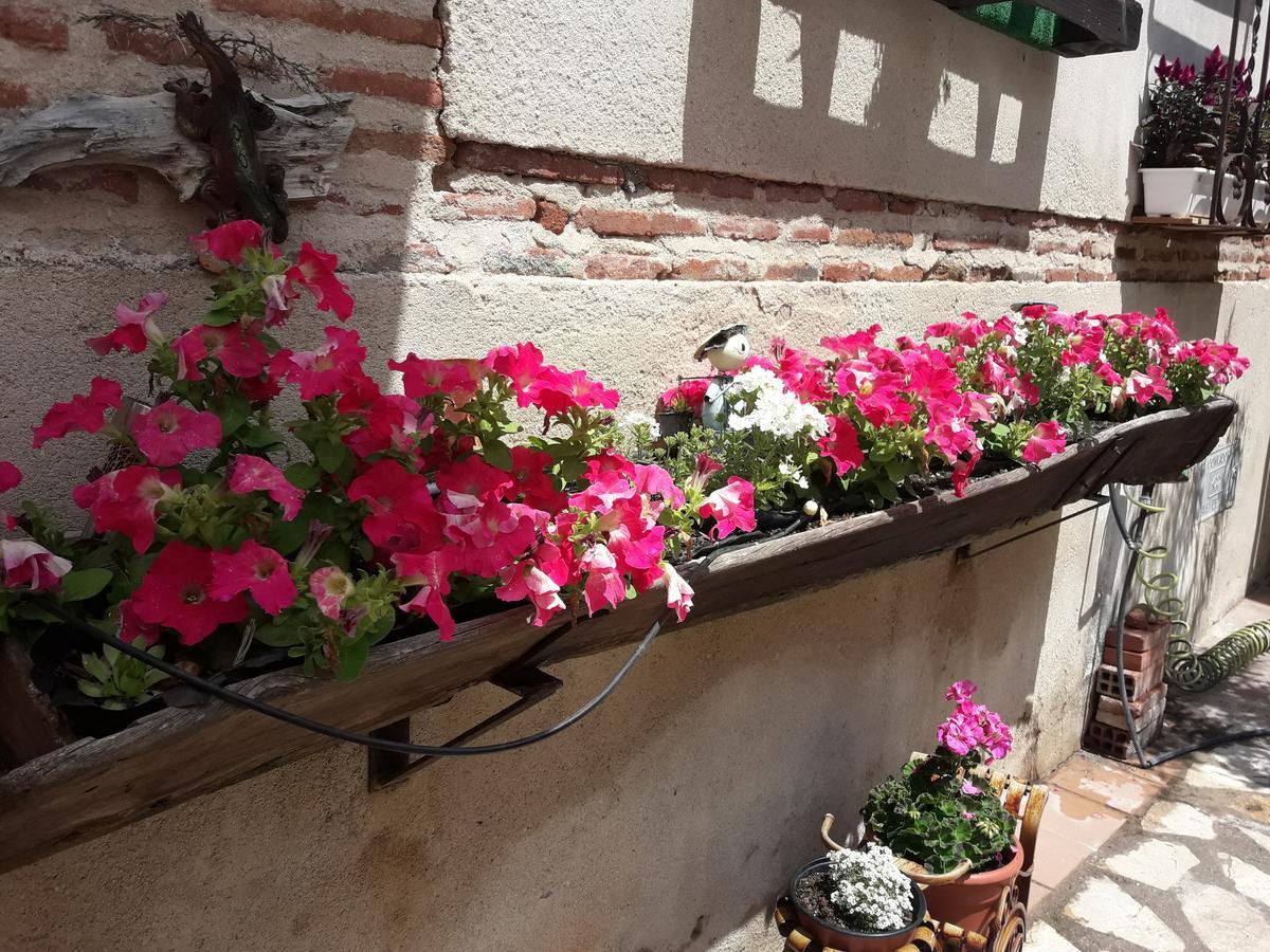 Casa Rural La Casa De Las Manuelas Horcajo de las Torres Eksteriør bilde